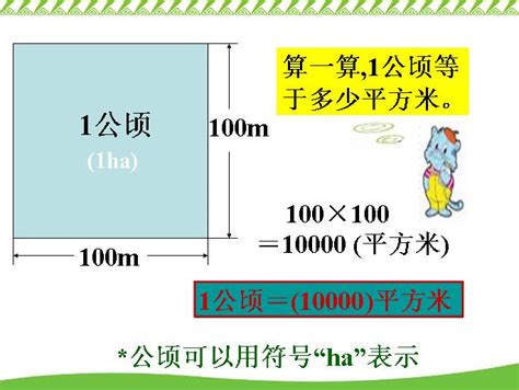 一公頃 幾甲|面積換算